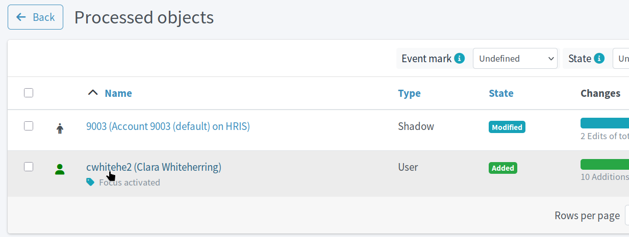 Result of preview import operation showing successfully generated username