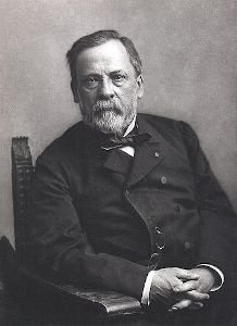 pasteur.png